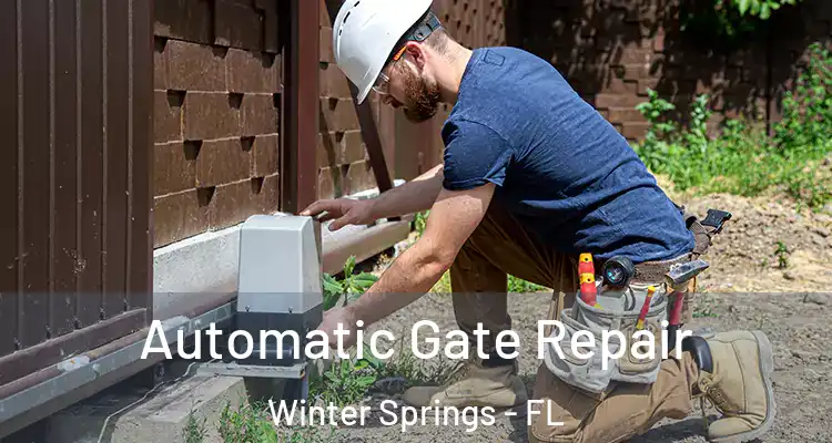 Automatic Gate Repair Winter Springs - FL