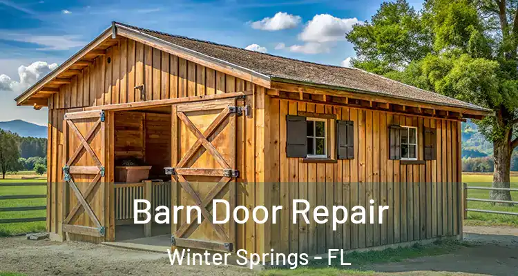 Barn Door Repair Winter Springs - FL