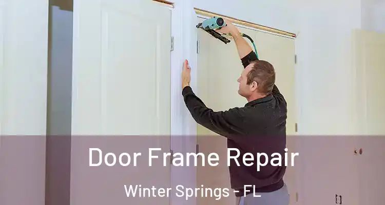 Door Frame Repair Winter Springs - FL