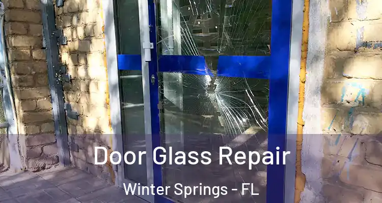 Door Glass Repair Winter Springs - FL