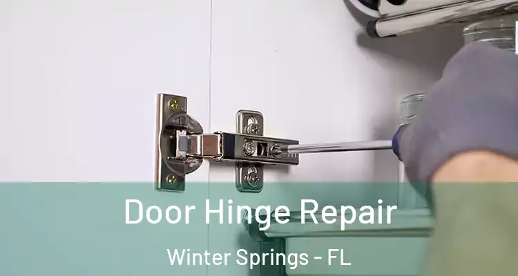Door Hinge Repair Winter Springs - FL