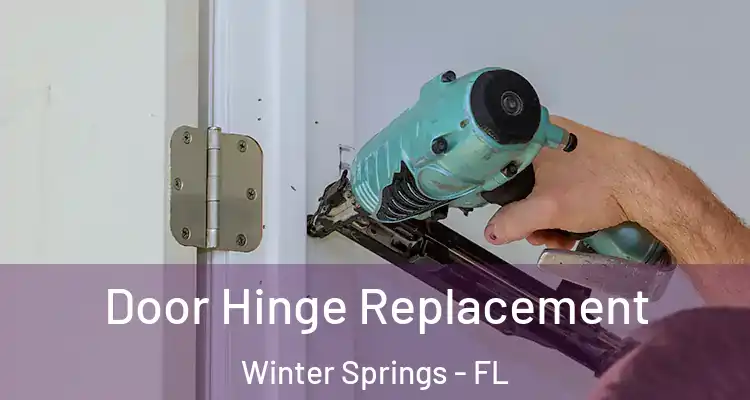 Door Hinge Replacement Winter Springs - FL
