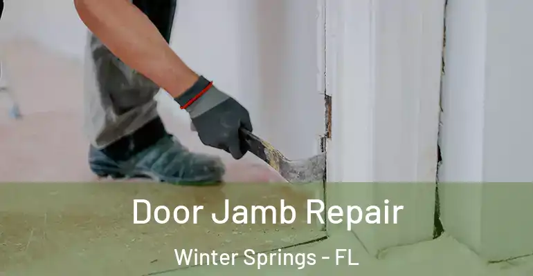 Door Jamb Repair Winter Springs - FL