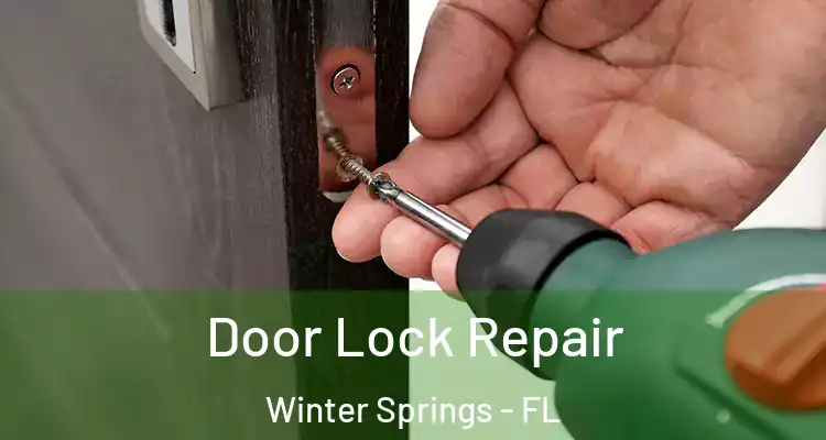 Door Lock Repair Winter Springs - FL