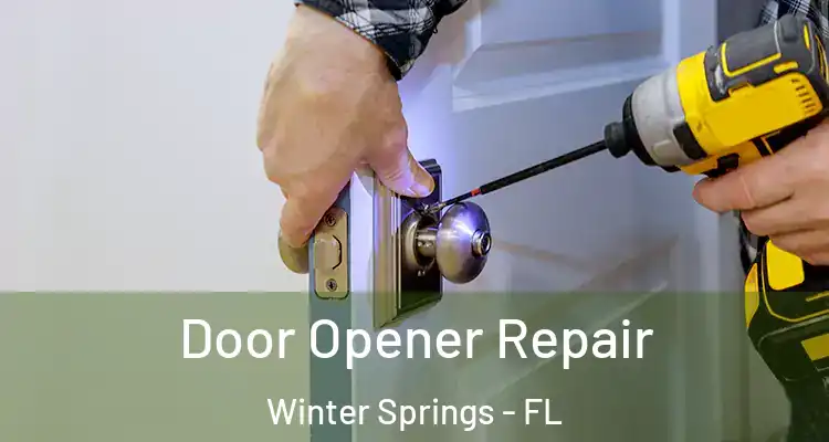 Door Opener Repair Winter Springs - FL