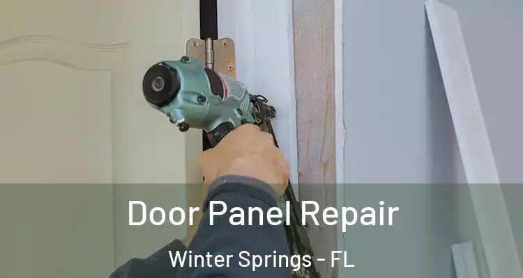 Door Panel Repair Winter Springs - FL