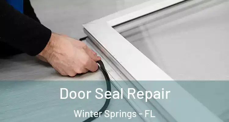 Door Seal Repair Winter Springs - FL