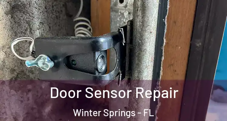 Door Sensor Repair Winter Springs - FL