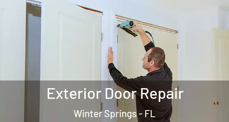 Exterior Door Repair Winter Springs - FL