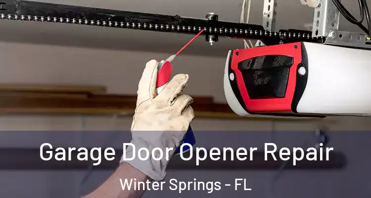 Garage Door Opener Repair Winter Springs - FL