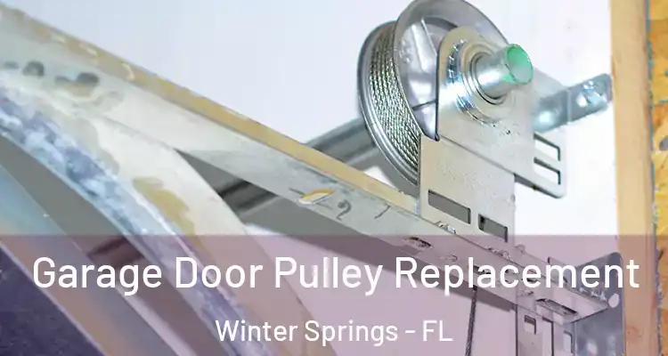 Garage Door Pulley Replacement Winter Springs - FL
