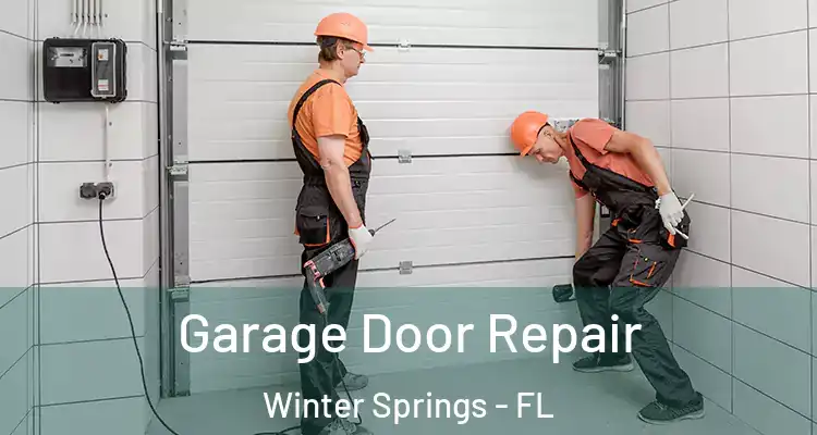 Garage Door Repair Winter Springs - FL
