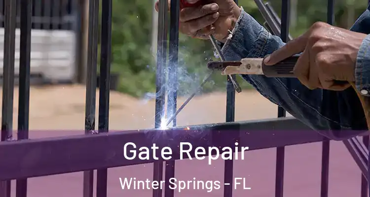 Gate Repair Winter Springs - FL