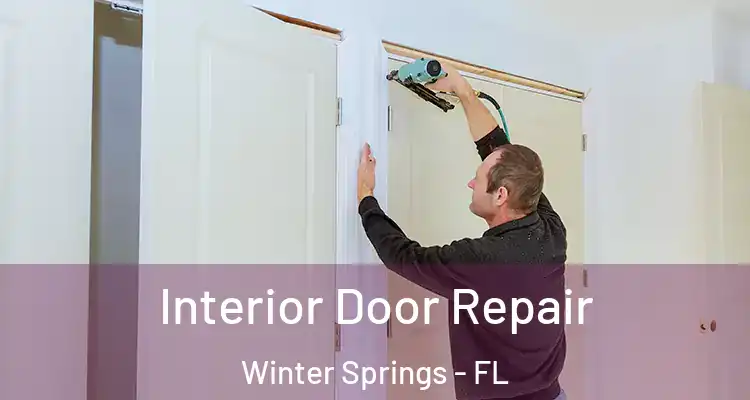  Interior Door Repair Winter Springs - FL