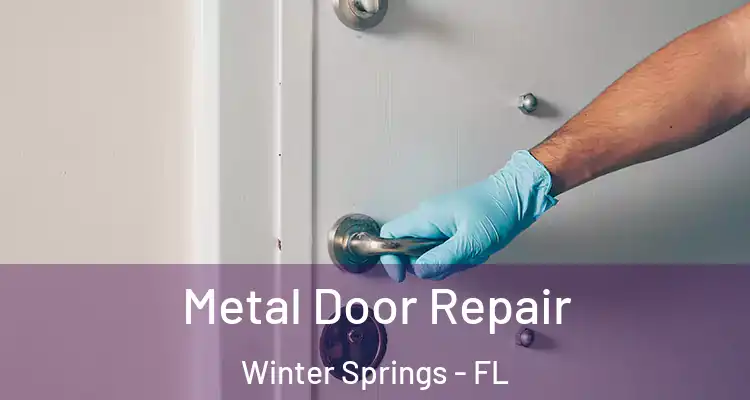 Metal Door Repair Winter Springs - FL