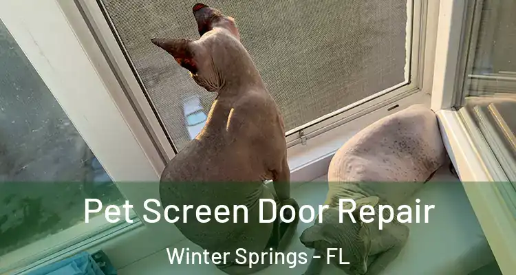 Pet Screen Door Repair Winter Springs - FL