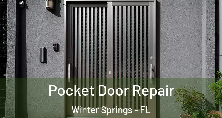 Pocket Door Repair Winter Springs - FL