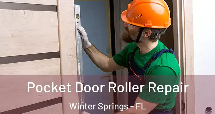 Pocket Door Roller Repair Winter Springs - FL