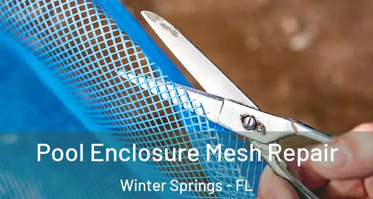 Pool Enclosure Mesh Repair Winter Springs - FL