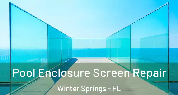 Pool Enclosure Screen Repair Winter Springs - FL