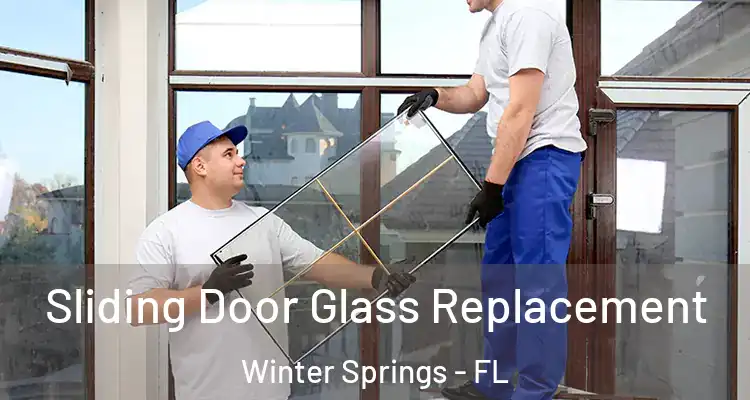 Sliding Door Glass Replacement Winter Springs - FL