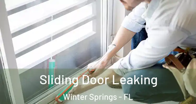 Sliding Door Leaking Winter Springs - FL