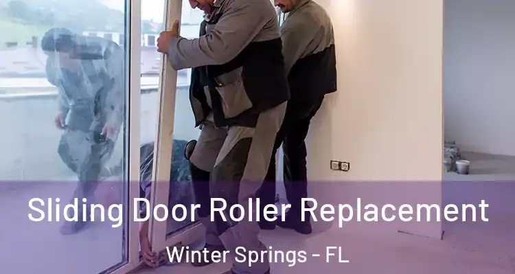 Sliding Door Roller Replacement Winter Springs - FL