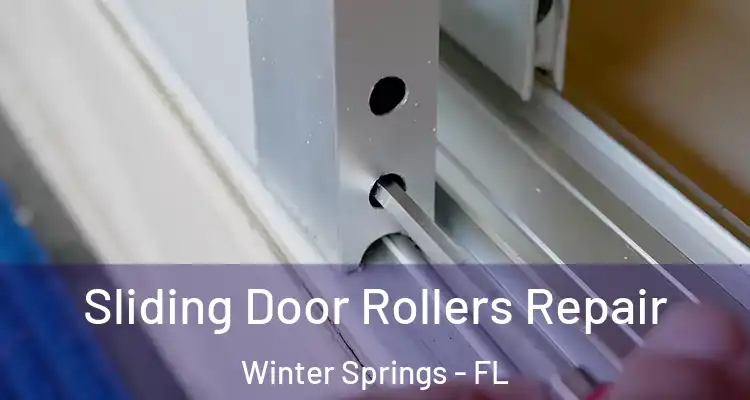 Sliding Door Rollers Repair Winter Springs - FL