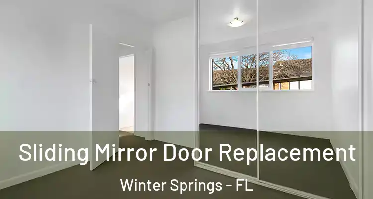 Sliding Mirror Door Replacement Winter Springs - FL