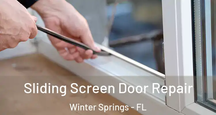 Sliding Screen Door Repair Winter Springs - FL