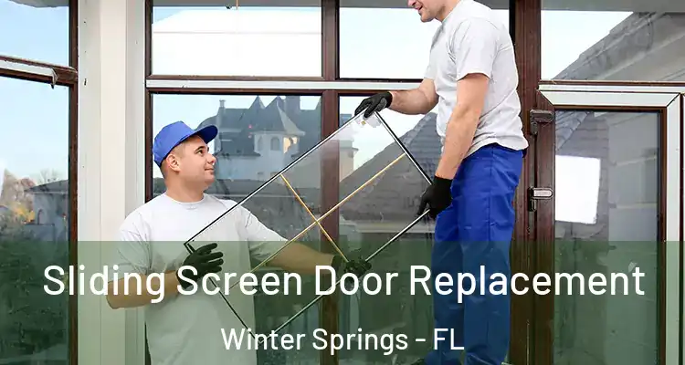 Sliding Screen Door Replacement Winter Springs - FL