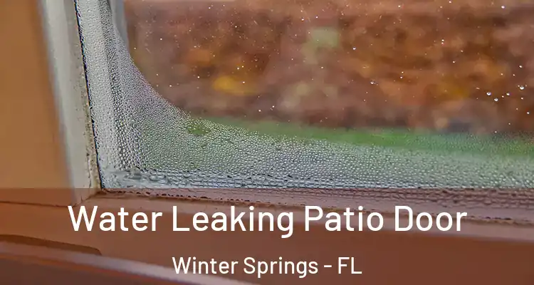 Water Leaking Patio Door Winter Springs - FL