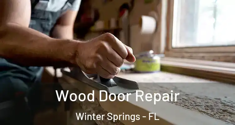 Wood Door Repair Winter Springs - FL